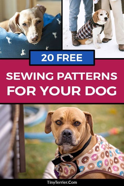 Tela, Couture, Sewing Projects For Dogs, Dog Hoodie Pattern, Dog Vest Pattern, Dogs Crafts, Dog Jacket Patterns, Free Sewing Projects, Pet Clothes Patterns