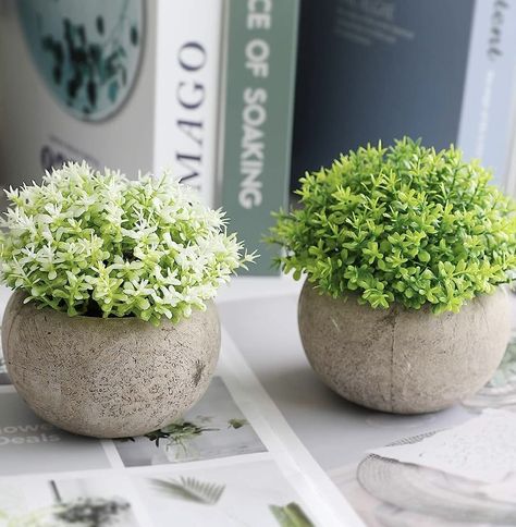 2 Small faux plants. Perfect for bookshelves, side tables, bathrooms, etc. Great detail items for home staging. Plants For Bathroom, English Ivy, Artificial Potted Plants, Pot Plants, Faux Greenery, Bathroom Plants, House Decorations, Fake Plants, Faux Plants