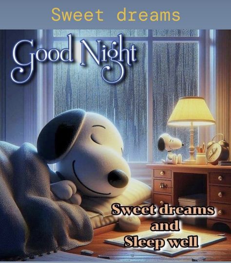 Good Night Snoopy, Snoopy Sleeping, Goodnight Snoopy, Snoopy Drawing, Tinkerbell Pictures, Weekend Greetings, Beautiful Good Night Quotes, Goodnight Quotes, Snoopy Funny