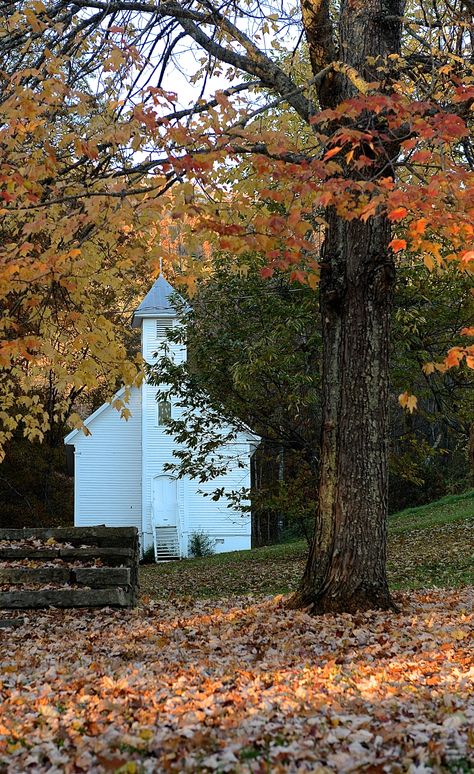 Virginia Fall, Country Churches, Old Country Churches, Study Scripture, Falls Church, Country Church, Architectural Photography, Happy Fall Y'all, God Loves Me