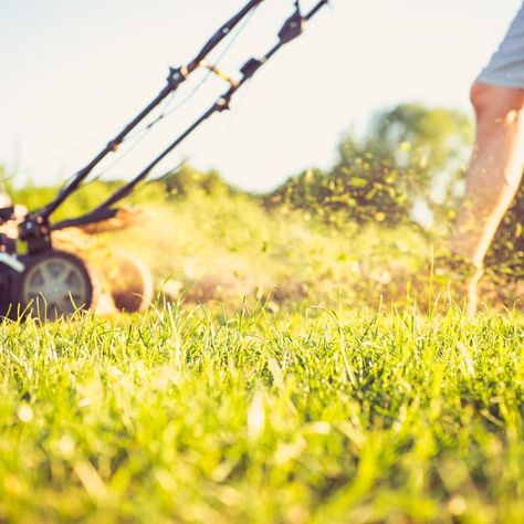 How to Keep Grass Green and Achieve a Healthy Lawn Lawn Care Business, Lawn Work, Lawn Fertilizer, Diy Lawn, Types Of Grass, Lawn Care Tips, Lawn Sprinklers, Healthy Lawn, Family Handyman