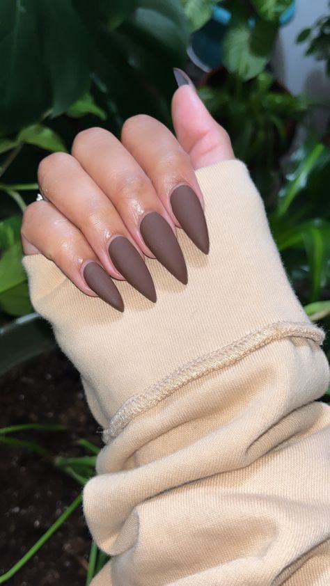 Matte Brown Almond Nails, Brown Stilleto Nails Designs, Brown Sugar Nails, Stiletto Brown Nails, Plain Stiletto Nails, Matte Brown Acrylic Nails, Brown Nails Stiletto, Matte Almond Shaped Nails, Plain Almond Nails