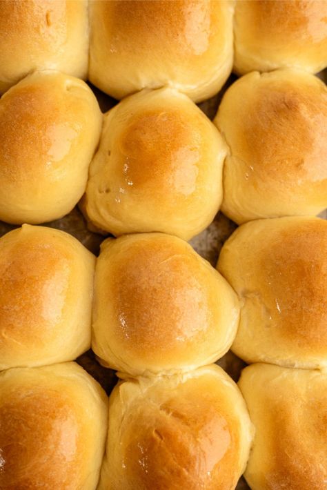 Parker House Rolls Parkerhouse Rolls, How To Make Rolls, Easy Homemade Rolls, Parker House Rolls Recipe, Homemade Ranch Dip, Cherry Pie Bars, Traditional Thanksgiving Recipes, Pumpkin Pie Recipe Easy, Pecan Cobbler