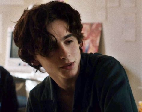 Timothee Chalamet Lady Bird, Male Haircuts Curly, Mens Hairstyles Thick Hair, Timmy T, Regulus Black, Aesthetic People, Lady Bird, The Perfect Guy, Hot Actors