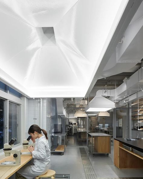 Study Area Ideas, Science Office, Lab Interior, Japan Town, Laboratory Design, Thesis Ideas, Science Labs, Renovation Architecture, Light Lamps