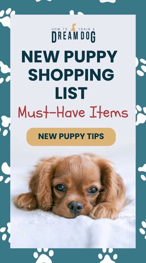 Are you prepared for your new puppy’s arrival? This shopping guide covers all the must-have items to ensure a smooth transition. From toys to training tools, make sure you're fully stocked before the big day! Puppy Development, Puppy Pens, Shopping Checklist, Puppy Playpen, Puppy Leash, Puppies Tips, Newborn Puppies, Maltipoo Puppy, Sick Dog