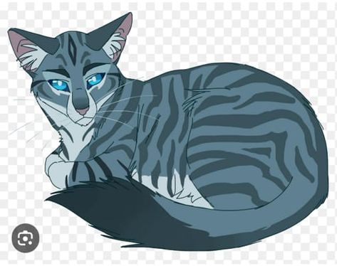 Jayfeather | Which Warrior Cat Character is Your Soulmate? - Quiz | Quotev Warrior Cats Name Generator, Warrior Cat Names, Cat Toilet Training, Cats And Cucumbers, Serval Cats, Herding Cats, Warrior Cats Books, Warrior Cat Drawings, Cat Plants