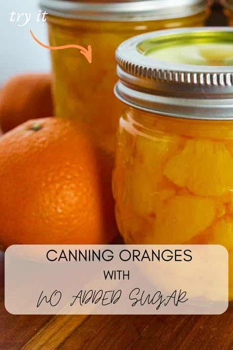 Have you ever tried canning oranges? Learn how to preserve oranges with no added sugar and make them shelf stable for months with this easy tutorial! How To Can Oranges, Can Oranges, How To Can Mandarin Oranges, Canning Oranges Recipes, How To Preserve Mandarin Oranges, What To Do With Oranges Going Bad, Orange Preserves Recipe, How To Preserve Oranges, How To Use Up Oranges