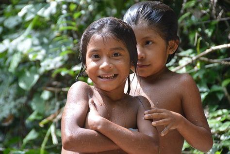 Rainforest People, Amazon Rainforest Animals, Amazon Deforestation, Amazon Tribe, Jungle Birds, Amazon Forest, Rainforest Animals, The Amazon Rainforest, Indigenous Community