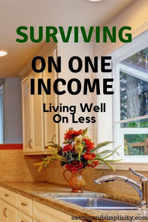 Frugal living, surviving on one income. It can be done. Learn 75 frugal living tips to help you succeed and thrive in a single income household. Frugal Habits, Saving Money Frugal Living, Living Single, Household Expenses, Frugal Mom, Money Frugal, Frugal Lifestyle, Thrifty Living, Living On A Budget