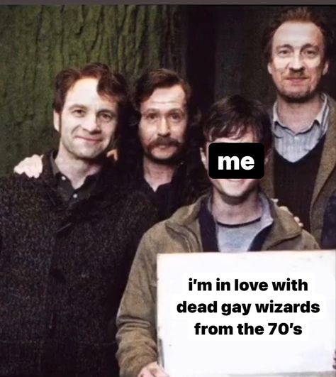 The Muradures, James Potter Sirius Black, Sirius Black Remus Lupin, Oki Doki, Regulus Black, All The Young Dudes, Remus Lupin, Harry Potter Marauders, Marauders Era