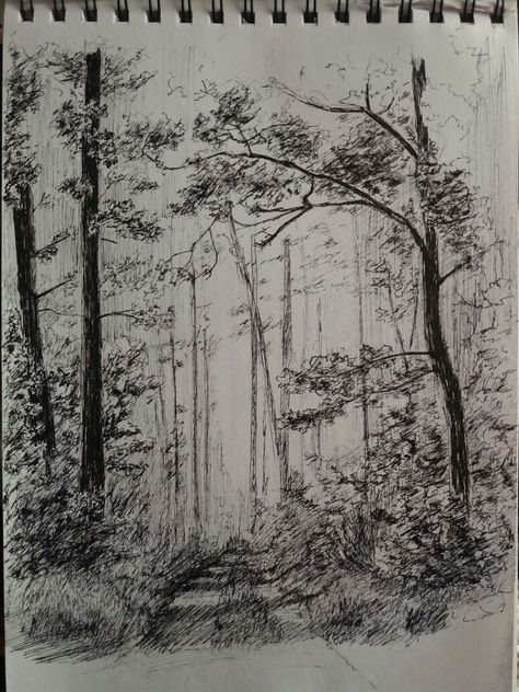 Pencil Background Drawing, Fairy Pen Drawing, Pencil Drawing Forest, Easy Forest Sketch, Drawing Forest Pencil, Forest Clearing Drawing, Magical Forest Drawing Pencil, Pencil Forest Drawing, Forest Sketch Pencil