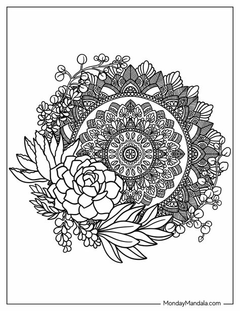 Succulent Mandala, Home Architecture, Beautiful Plants, Printable Coloring Book, Printable Coloring, Succulent, Coloring Books, Coloring Pages, Architecture