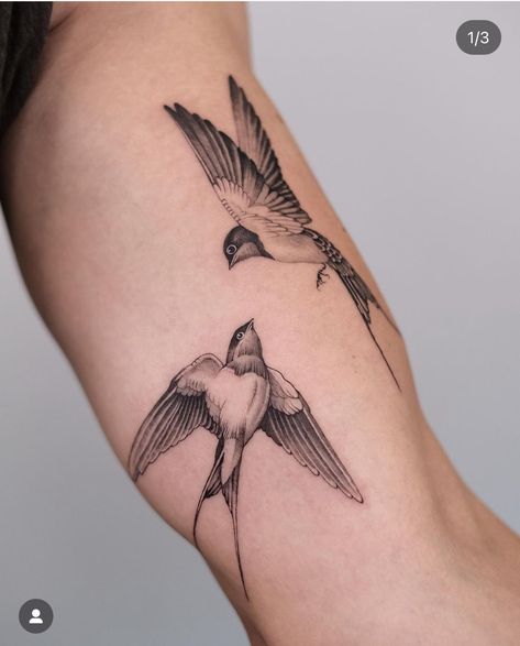 Birds Arm Tattoo, Japanese Bird Tattoo, Sparrow Bird Tattoo, Golondrinas Tattoo, Free Bird Tattoo, Mockingbird Tattoo, Tricep Tattoo, Sparrow Tattoo Design, Swallow Tattoo Design