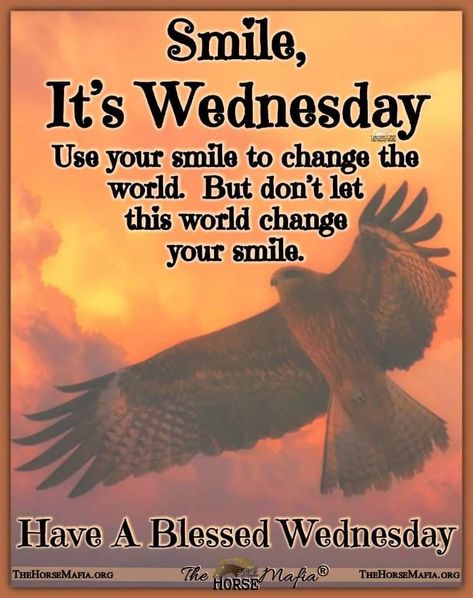 Wednesday Humor Motivation, It’s Wednesday, Wednesday Morning Wishes, Beautiful Wednesday Morning, Monday Morning Wishes, Quotes Wednesday, Inspirational Morning Prayers, Midweek Motivation, Praise Quotes