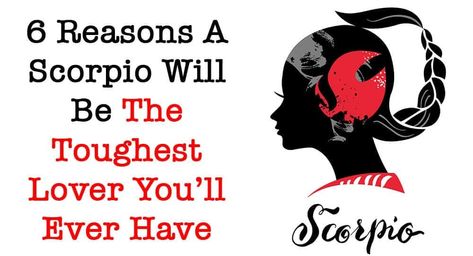 Tag your favorite Scorpio! There is no doubt that you have encountered a Scorpio at least once in your life. So by now it can be assumed you know all about how difficult it can be to deal with a Scorpio. They are so incredibly difficult to understand and empathize… Scorpio Woman In Love, Scorpio Zodiac Facts Man, Dating A Scorpio Man, Scorpio Boyfriend, Scorpio Men In Love, Scorpio Relationships, Communication Quotes, Zodiac Characteristics, How To Flirt