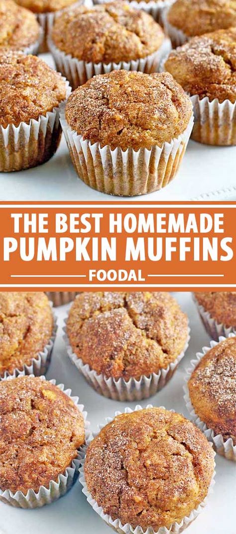 With sugar, spice, and everything nice, these perfect pumpkin muffins are not overpoweringly sweet, and have a super moist center with flecks of cinnamon and sugar on top. Learn how to make the recipe so you and the family can enjoy them during any fall morning. #pumpkinrecipes #muffin #foodal Pumpkin Pecan Crunch Muffins, Pumpkin Walnut Muffins, Muffin Monday, Homemade Pumpkin Muffins, Yummy Muffins, Best Pumpkin Muffins, Superbowl Recipes, Muffins For Breakfast, Healthy Pies