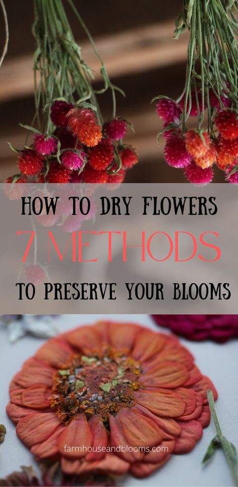 two pictures, one of flowers hanging to dry, and one of pressed flowers Diy Preserving Flowers, How To Dry Your Own Flowers, Drying And Preserving Flowers, Nature, Drying Flowers For Bouquets, Best Flowers To Dry Out, Died Flowers Decor, How Dry Flowers, How Do I Preserve Flowers