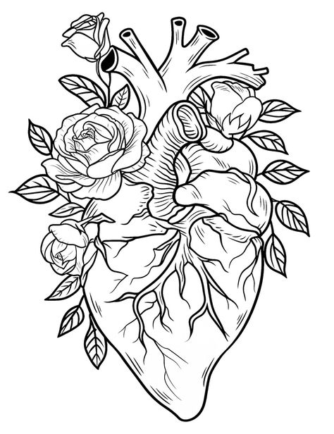 Anatomical Heart Drawing, Rose Coloring, Our Mindful Life, Monster Truck Coloring Pages, Rose Coloring Pages, Coloring Pages For Grown Ups, Recreation Therapy, Adults Coloring, Heart Coloring Pages