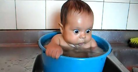 I'm a bundle of joy! Not a bucket of joy!! Funny Babies Videos, Baby Laughing Video, Baby Fails, Funny Babies Dancing, Babies Laughing, Funny Babies Laughing, Bebe Video, Funny Vines Youtube, Laughing Baby