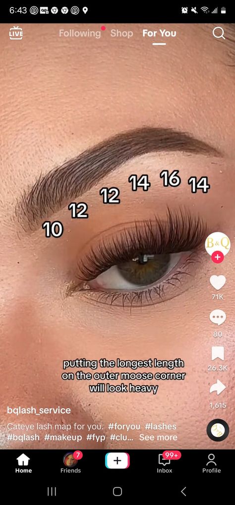 Lash Maps For Hooded Eyes, Diy Lash Map, Diy Lash Cluster Mapping, B&q Lash Clusters, Vavalash Lash Map, Eyelash Cluster Map, 30d Lash Cluster Map, Amzgirl Lash Map, Lash Mapping Eyelash Clusters