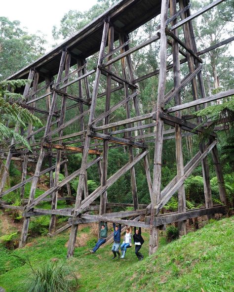 Monkeying around on the Noojee Trestle Bridge. Full write up on the AdventureMe blog. #noojee #noojeetrestlebridge #gippsland Trestle Bridge, Garden Railway, Railway Bridges, Rail Car, Amusement Parks, Model Railroad, Tourism, Bridge, Trees