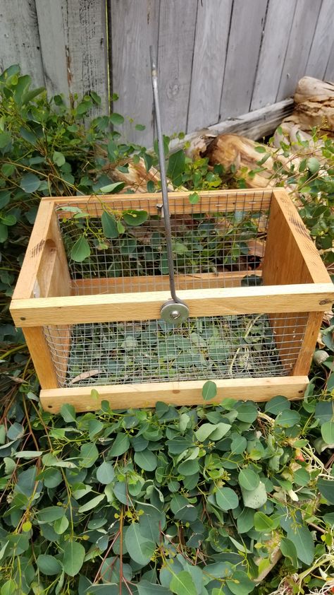 Another garden hod made from oak with heavy wire handle. Great for harvesting fruit and washing Garden Harvest Basket Diy, Garden Basket Diy, Garden Hod Diy, Harvest Basket Diy, Diy Garden Basket, Diy Harvest Basket, Garden Hod, Garden Harvest Basket, Garden Baskets