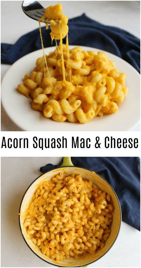 Make creamy macaroni and cheese healthier by adding acorn squash. This great hidden vegetable side dish is a perfect way to add an extra veggie to your plate without anyone knowing it! How To Use Acorn Squash, Acorn Squash Recipe Pasta, Squash Acorn Recipes, Acorn Squash Mac And Cheese, What To Do With Acorn Squash, Acorn Squash Pasta Recipes, Recipes Using Acorn Squash, Savory Acorn Squash Recipes, Recipes With Acorn Squash