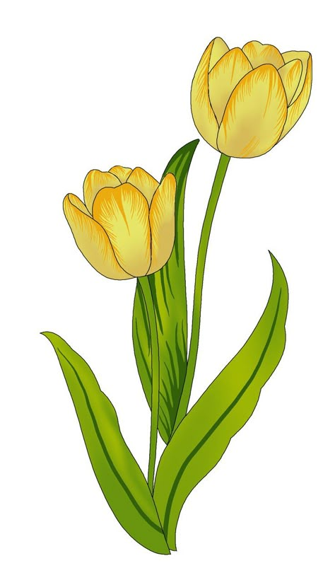 Minimal Flower Drawing, Yellow Flowers Drawing, Tulip Flower Drawing, Minimal Tattoo Designs, Minimal Tattoo Ideas, Tulip Drawing, American Traditional Tattoo Ideas, Traditional Tattoo Ideas, Flower Pattern Drawing