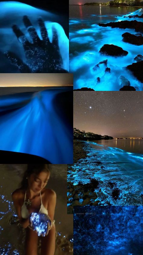 Beautiful bioluminescence Bio Illuminance Water, Bioluminescence Beach Florida, Bioilluminescent Sea, Bioluminescence Maldives, Bioluminescence Beach Aesthetic, Luminous Lagoon Jamaica, Bioluminescent Fish, Bioluminescence Beach, Bioluminescence Aesthetic