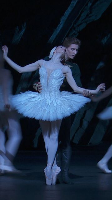 Swan Queen Ballet, Swan Lake Ballet Odile, Sawn Lake Ballet, Royal Ballet Swan Lake, Swan Lake Tutu, Swan Lake Ballet Costume, Beautiful Ballet Costumes, Swan Lake Ballet Aesthetic, Famous Ballerinas