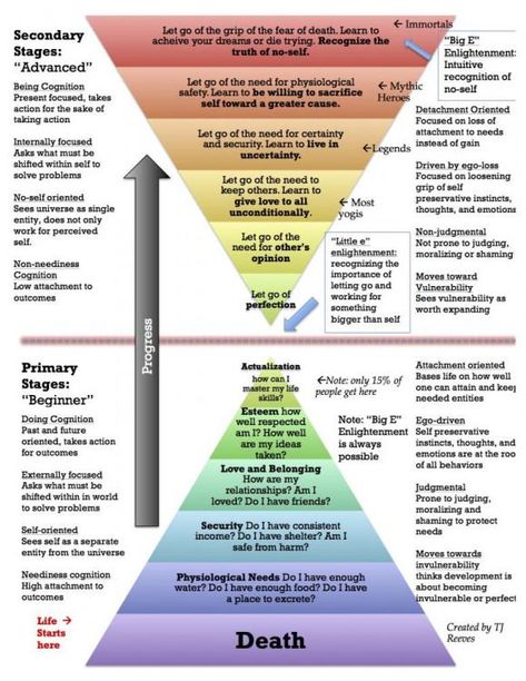 Self Transcendence, Transcendence Quotes, Theory Of Motivation, Maslow’s Hierarchy Of Needs, Diy Kalender, Hierarchy Of Needs, Psychology Notes, Emotional Needs, Abraham Maslow