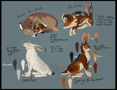 Rabbit Hybrid Art, Bunny Cat Hybrid, Anthro Rabbit Reference, Watership Down Oc, Hare Fursona, Jackalope Oc, Bunny Hybrid Oc, Rabbit Poses, Hare Reference