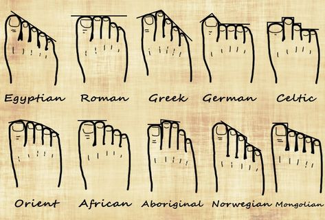 Genealogy Foot Chart Starověký Egypt, Dna Genealogy, Family Tree Genealogy, Ancestry Genealogy, Genealogy Research, Family Genealogy, History Facts, Useful Life Hacks, Family History