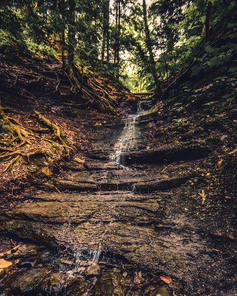 Behind A Waterfall, Fire And Water, Eternal Flame, Western New York, Natural Phenomena, Round Trip, Fall Photos, Vibrant Green, Autumn Trees