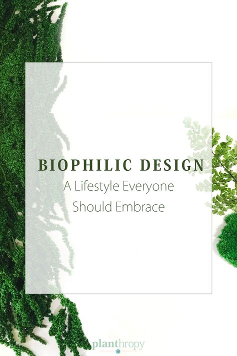 Biophilic Design: A Lifestyle Everyone Should Embrace. By Planthropy. Biophilia Design, Biofilic Design, Biomimicry Design, Biophilic Architecture, Magic Wood, Moss Walls, Planting For Kids, Interior Design Contemporary, Living Walls