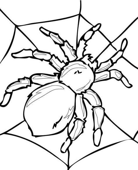 Tarantula Drawing, Spider Coloring Pages, Spider Template, Spider Printable, Art Insects, Printable Halloween Decorations, Spider Pictures, Spider Coloring Page, Insect Coloring Pages Tarantula Drawing, Spider Coloring Pages, Spider Template, Spider Pictures, Spider Coloring Page, Charmed Characters, Ghost Spider, Tattoos For Black Skin, Unique Tattoo