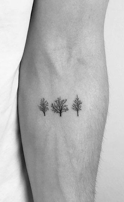 Tree Matching Tattoos, Simple Tattoos Nature, Stick Tree Tattoo, Birth Tree By Month, 3 Trees Tattoo Simple, Tree Tattoo Simple Minimalist, 3 Trees Tattoo, Small Tree Tattoo For Men, Three Trees Tattoo