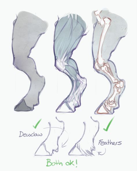 Anatomy Drawing, Dessin Adorable, Creature Concept Art, Anatomy Reference, Animal Sketches, 판타지 아트, Anatomy Art, Art Poses, Art Tutorials Drawing