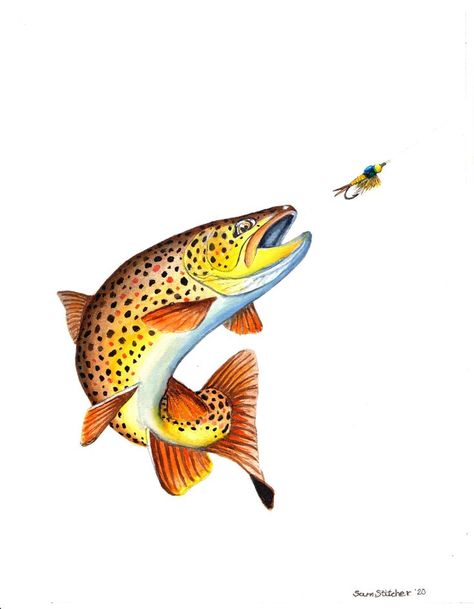 Brown trout chasing a Copper John fly. 11x14 watercolor painting Brown Trout Watercolor, Trout Painting Acrylic Easy, Steelhead Trout Tattoo, Brown Trout Drawing, Brook Trout Painting, Brown Trout Painting, Brown Trout Art, Trout Drawing, Trout Illustration