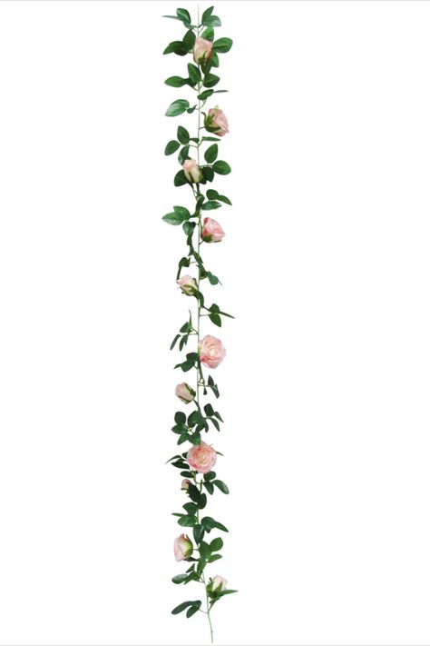 Vines No Background, Hanging Garland Wedding Decor, Vines Backgrounds, Vines Png, Vines With Flowers, Vine With Flowers, Vines Art, Rose Flower Garland, Faux Garland