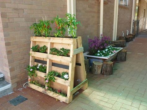 World’s Best 111 Pallet Garden Ideas to Collect Garden Pallet Decorations, Pallet Planter Diy, Pallet Planter Box, Wood Pallet Planters, Palette Garden, Pallet Planter, Pallet Decor, Pallets Garden, Pallet Garden