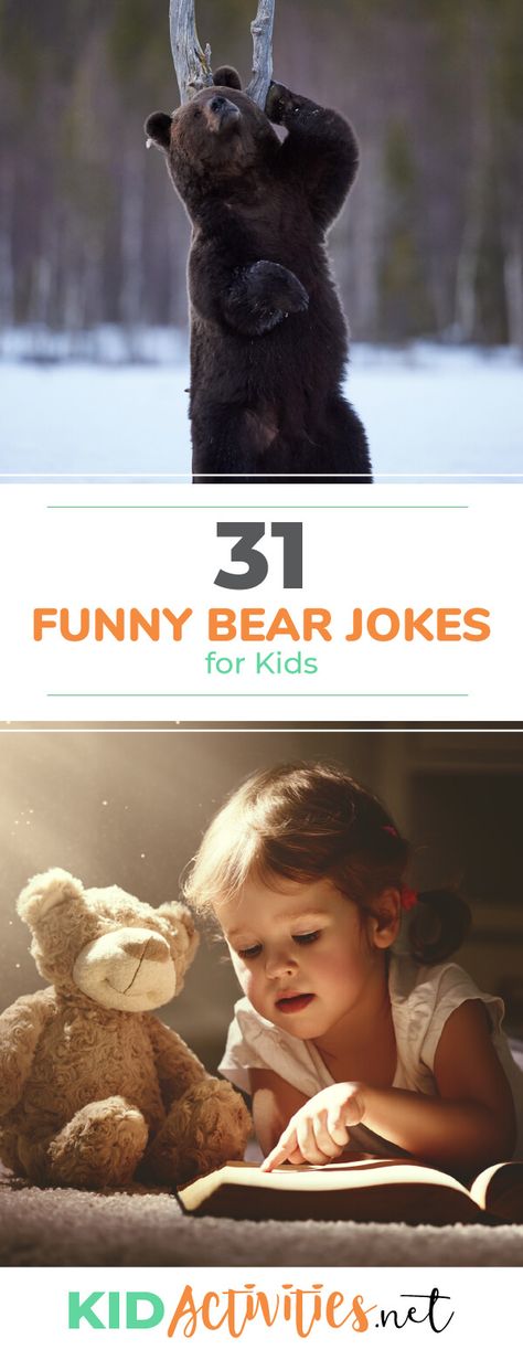 31 Funny Bear Jokes for Kids [Polar Bear Jokes & Koala Bear Jokes] Polar Bear Jokes, Bear Jokes, Funny Teddy Bear, Kid Jokes, Holiday Jokes, Teddy Bear Cookies, Funny Riddles, Hilarious Jokes, Funny Jokes For Kids