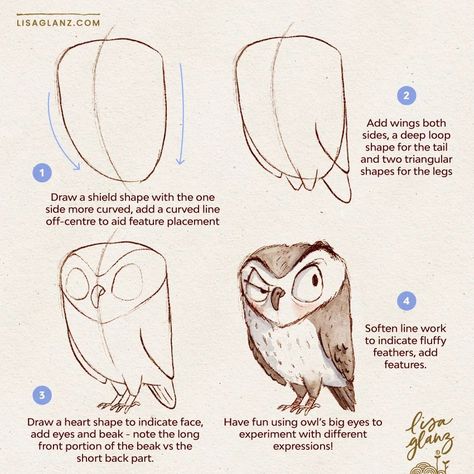 How to draw an owl 🦉 For this one I thought a three-quarter view would be more interesting than straight on, so be sure to draw your curved centre guide to keep you on track with the placement of features and limbs 😀 . Brushes used: AquaReal 2 Shadow brushes and Lisa’s Pencil / Canvas: Let’s Draw. #howtodraw #learntodraw #easydrawingtutorial #howtodrawcute #howtodrawanimals #howtodrawbirds #procreatedrawingtutorial How To Draw A Cornucopia Step By Step, How To Draw An Acorn, Draw Owl, Owl Cute Drawing, How To Draw An Owl, Owl Character, Owl Character Design, How To Draw Birds, Owl Drawing