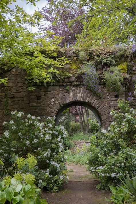 English Style Garden, Munstead Wood, Manor Aesthetic, Patio Bed, Gertrude Jekyll, Manor Homes, Garden Areas, Victorian Gardens, English Castles