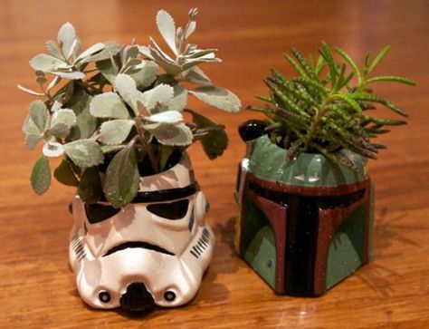 Star Wars Zimmer, Star Wars Office, Decoracion Star Wars, Star Wars Bathroom, Star Wars Room, Star Wars Decor, Succulent Planters, Star Wars Wedding, Geek Decor