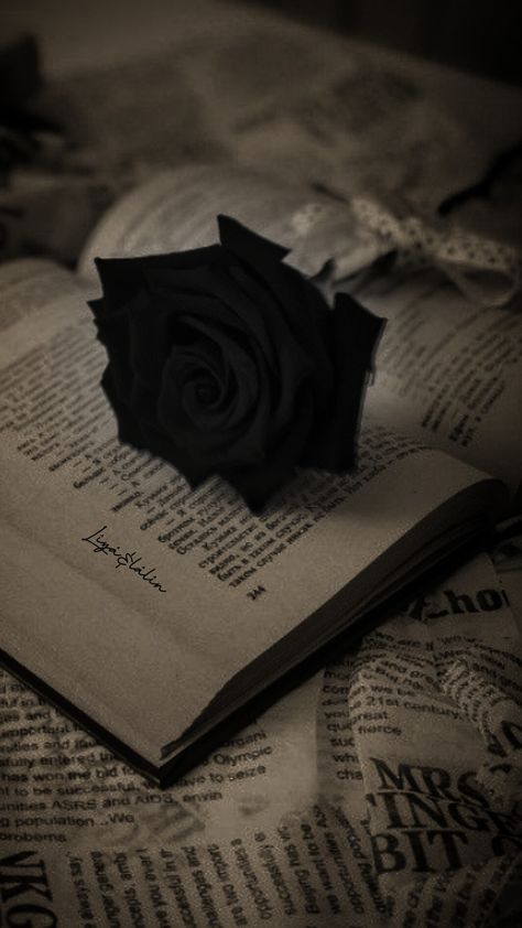 Black Books Aesthetic Wallpaper, Dark Umbrella Aesthetic, Fancy Dark Aesthetic, Books And Roses Aesthetic, Dark Romance Book Wallpaper, Black Rose Aesthetic Dark, Romance Book Wallpaper, Dark Roses Aesthetic, Writing Aesthetic Dark