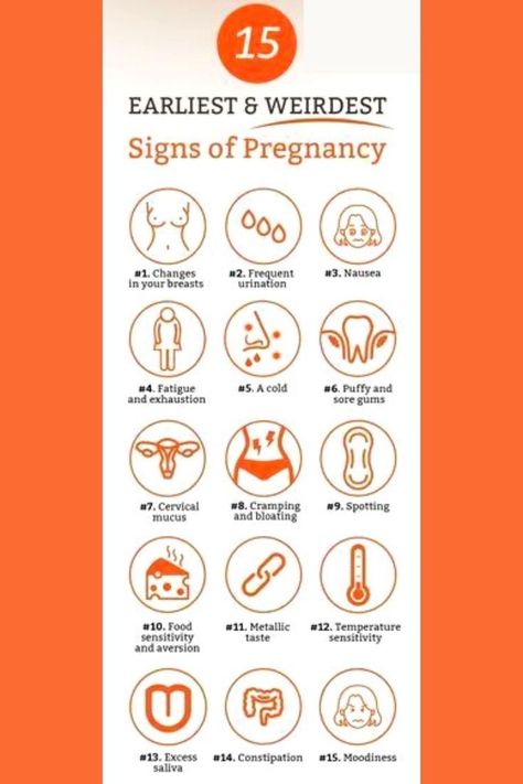 Sign Of Pregnancy, Symptoms Of Pregnancy, Pregnancy Diet Plan, Getting Pregnant Tips, Unique Pregnancy Announcement, Pregnancy Facts, Mother Care, Healthy Pregnancy Tips, Early Pregnancy Signs