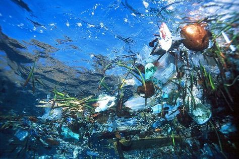 Garbage In The Ocean, Great Pacific Garbage Patch, Marine Debris, Bawah Air, Ocean Pollution, Social Design, Ocean Day, Space News, Marine Environment