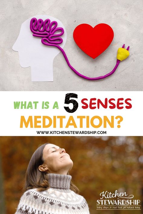 Discover how using your senses can help you practice mindfulness and live in the present moment through a 5 senses meditation. Environmental Psychology, Grounding Exercises, Environmental Research, Sense Of Sight, Practice Mindfulness, 5 Senses, Five Senses, Real Family, Body Scanning